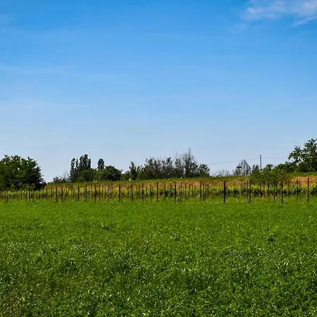 Kemp Agri La Passeggiata *