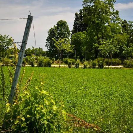 Kemp Agri La Passeggiata *
